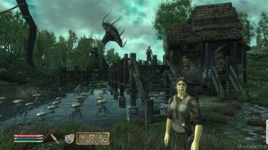 Oblivion: Shivering Isles, Impresiones