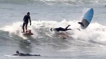 videos virales surf