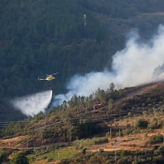 ¿Es obligatorio desbrozar las fincas, parcelas y terrenos en España? Esto dice la Ley de Montes y la normativa en España