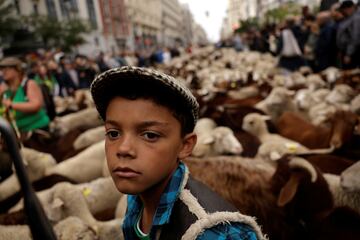 El recorrido ha partido desde la Casa Campo y este han vuelto a pasar por la Puerta del Sol ya que el año pasado y por motivo de las obras no pudieron. Pasarán por la Catedral de la Almudena y recorrerán la calle Mayor, más tarde cruzarán la Puerta del Sol y continuarán por Sevilla hasta la plaza de Cibeles. Seguirán por el paseo de Recoletos hacia la plaza de Colón, donde darán la vuelta y regresarán al Ayuntamiento para entregar los maravedís.