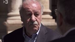 Del Bosque: "En el Madrid no tuvieron delicadeza conmigo"