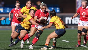 Las Leonas posponen la clasificación mundialista