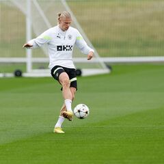 El depredador vuelve a casa