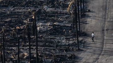 A view shows the remains of homes destroyed by the Palisades Fire in the Pacific Palisades neighborhood in Los Angeles, California, U.S. January 11, 2025. REUTERS/Carlos Barria