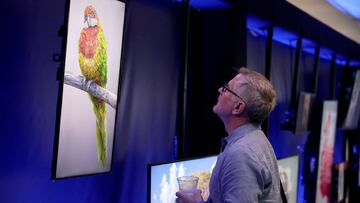 Dan Torrey looks at NFT art hanging in a gallery during the North American Bitcoin Conference held at the James L Knight Center on January 19, 2022 in Miami, Florida. 