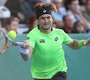 David Ferrer y García-López se citan en cuartos de final
