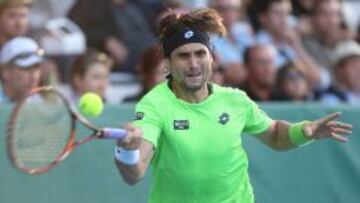 David Ferrer y García-López se citan en cuartos de final