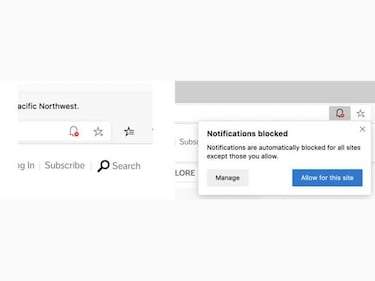 Cómo eliminar las notificaciones de Microsoft Edge