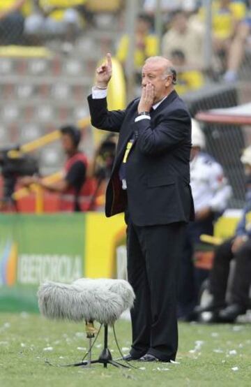 Partido Ecuador - España. Vicente del Bosque.