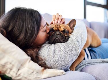 Qué significa que tu perro te siga a todas partes