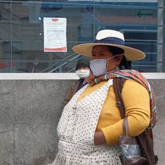 Bono Familiar Universal: ¿por qué la plataforma online no se ha habilitado todavía?