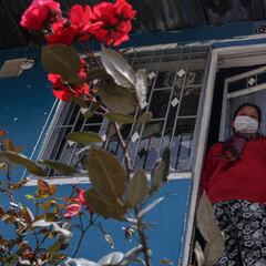 Renta Ciudadana, Joven y Devolución IVA | Quién lo cobra, montos y fechas de pago | Noticias 2 de octubre