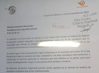 Liga MX femenil recibe carta sobre los detalles de la reforma aprobada en el Senado