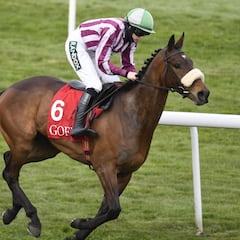 Un Grand National de luto, sin 'Tiger Roll' y pendiente de una mujer que puede hacer historia