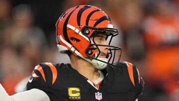 The Cincinnati Bengals face the Pittsburgh Steelers in their last regular-season game but need other results to go their way to reach the postseason.