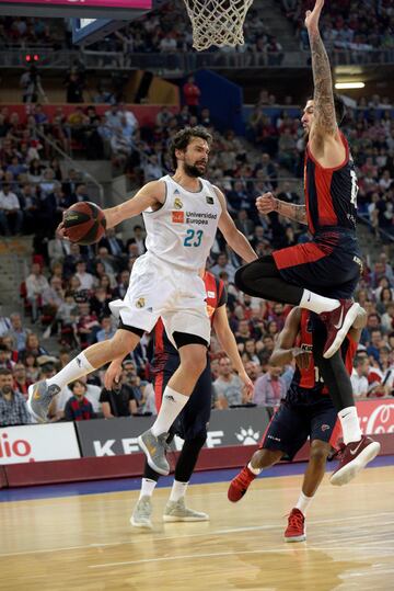 Sergio Llull.