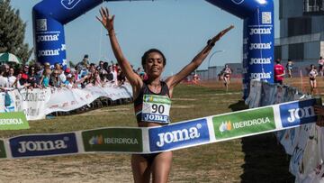 Trihas Gebre, atleta de fondo.