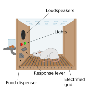 Este experimento psicológico con animales demostró que hay varias formas de alterar la conducta humana