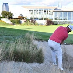 La vendetta del león