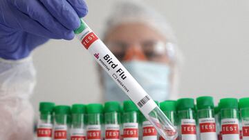 The CDC is closely monitoring the situation in Colorado with searing heat contributing to the largest bird flu outbreak among poultry workers ever seen.