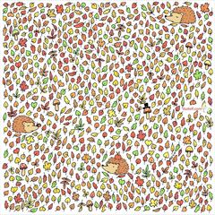 Reto visual: ¿Puedes encontrar la bellota escondida entre las hojas?