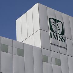 IMSS 2023: qué pasa si mi número de Seguridad Social está duplicado y soluciones