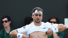 David Ferrer.