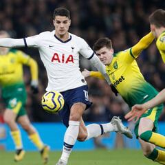 El Norwich de la Premier pide que se anulen los descensos si no se juega el 'Championship'