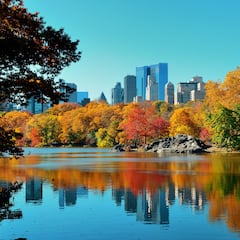 Why do leaves change color in the fall?