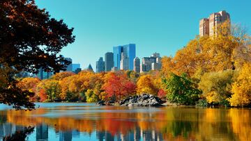 Why do leaves change color in the fall?