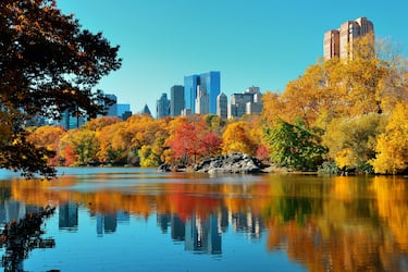 Central Park se transforma en un oasis de colores vibrantes, y el clima es ideal para pasear por sus icónicas avenidas. Ofrece festivales y eventos culturales de otoño, incluido el famoso Desfile de Halloween.
