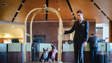 Antes de reservar hotel: claves para que tus vacaciones 2026 se vivan mejor desde el primer día