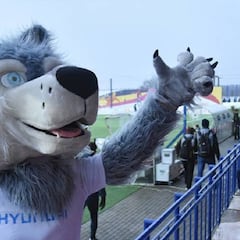 Liga Bielorrusia: conoce a los 16 equipos de la competición