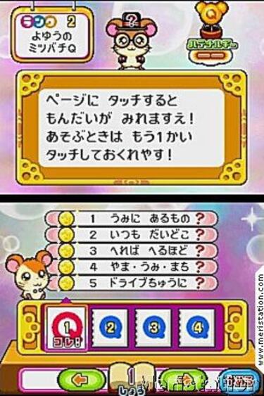 Nuevas imágenes de Hamtaro en Nintendo DS