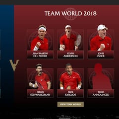 Confirmados Anderson, Isner y Schwartzman para la Laver Cup