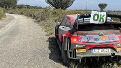 Thierry Neuville sobrevive al caos del Safari