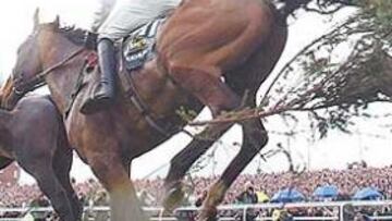 <b>ADRENALINA PURA. </b>El ganador, 'Hedgehunter', en primer plano, tras superar una de las 30 vallas que tienen que hacer frente los participantes.