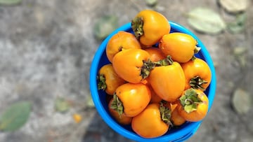 El ‘fruto divino’ beneficioso para el funcionamiento del corazón que cuesta menos de 3 euros el kilo