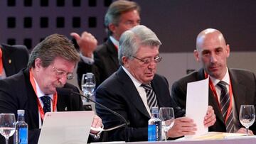 Larrea y Rubiales, candidatos provisionales a la Federaci車n