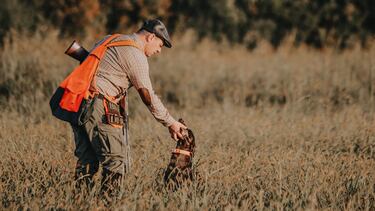 En octubre de hoja el campo se cubre