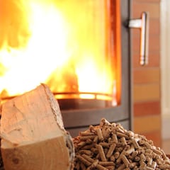 Bono Leña 2020: cómo revisar con mi RUT y fecha de nacimiento