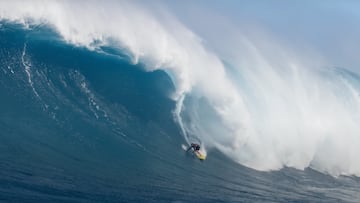 Albee Layer en Jaws, temporada 2024-2025