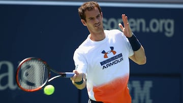 Murray es baja: Nadal y Federer, mano a mano por el n¨²mero 1