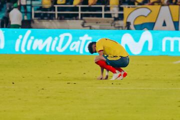 La Selección Colombia perdió 0-1 con la Selección Perú en Barranquilla por la decimoquinta jornada de las Eliminatorias Sudamericanas.