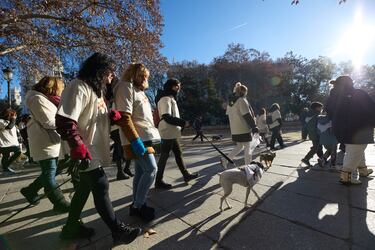 La San Perrestre 2023 se celebra con el objetivo de luchar contra el abandono y el maltrato de animales gracias al dinero recaudado con las inscripciones. La San Perrestre consiste en un tour por el centro histórico de Madrid al que asisten los participantes y sus perros. Además, se dan las ‘can panadas’, en las que las mascotas comen 12 bolas de pienso.
