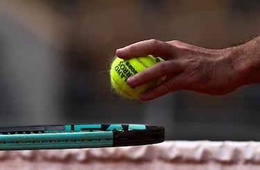 ¿Cuánto dinero se llevará Carlos Alcaraz si gana Roland Garros?