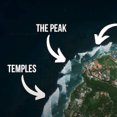 Las olas más largas del mundo según Dan Harmon