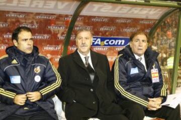 Después de un breve paso con Besiktas y el Cádiz, cogió las riendas del combinado Nacional en julio de 2008, en sustitución de Luis Aragonés. Desde el inicio de esta nueva etapa contó con Toni Grande como segundo entrenador.