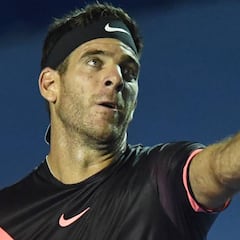 Del Potro confirma su presencia en Madrid, Roma y Roland Garros