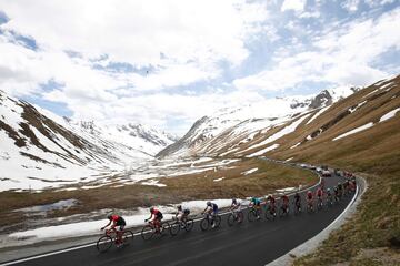 El pelotón en la subida al Stelvio, 'Cima Coppi' de esta edición.